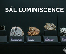 Hall of Luminescence