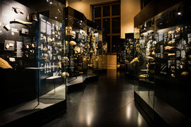 People and Their Ancestors