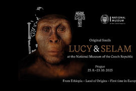 The original fossils of human ancestors Lucy & Selam welcome you to the new exhibition Humans and Their Ancestors