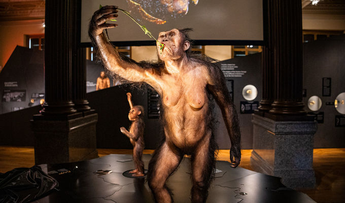 The original fossils of Lucy and Selam are on display for the first time in Europe in the exhibition People and Their Ancestors at the National Museum of the Czech Republic