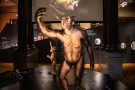 The original fossils of Lucy and Selam are on display for the first time in Europe in the exhibition People and Their Ancestors at the National Museum of the Czech Republic