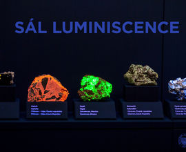 Hall of Luminescence