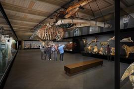 National museum introduced the concept of new permanent exhibitions
