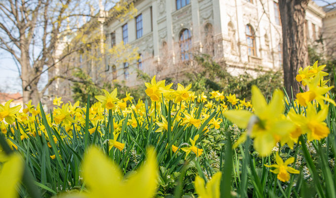 Opening hours of the National Museum during the Easter holidays 2026