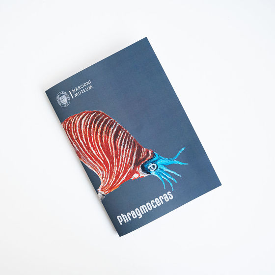 Phragmoceras notebook 