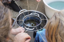 The Secret of the Indigo Vat