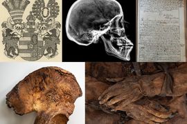 Osteodemografická revize a individuální identifikace pohřbů v kryptě kostela Panny Marie Vítězné