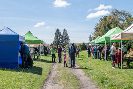 Ohlédnutí za City Nature Challenge 2025
