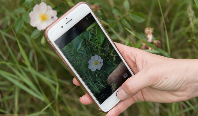 Ukažme společně světu městskou přírodu – Národní muzeum odstartuje další ročník City Nature Challenge a otevře veřejnosti svou Kroužkovací stanici