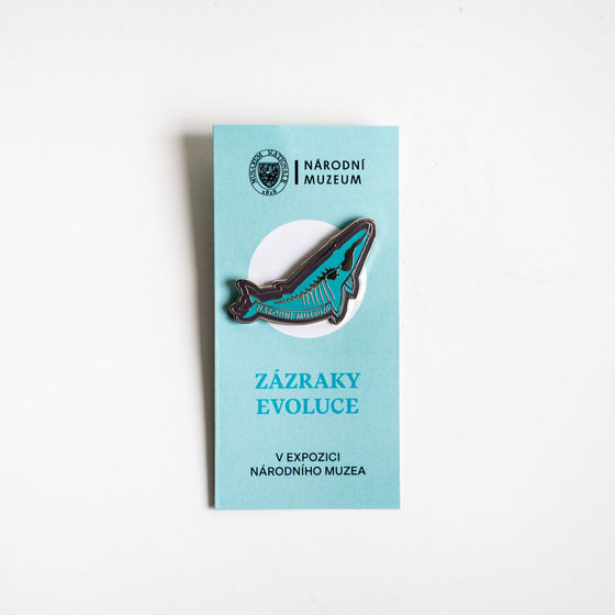 Pin ve tvaru plejtváka v tyrkysové barvě