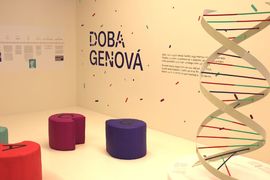 V Národním muzeu začíná Doba genová