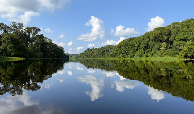 Pohled na řeku Nyong u vesnice Ebogo, kterou obklopuje stále poměrně zachovalý tropický deštný les.