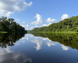 Obrázek 3. Pohled na řeku Nyong u vesnice Ebogo, kterou obklopuje stále poměrně zachovalý tropický deštný les.