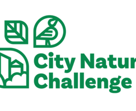 CNC 2025 logo