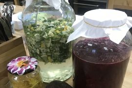 Fermentované potraviny