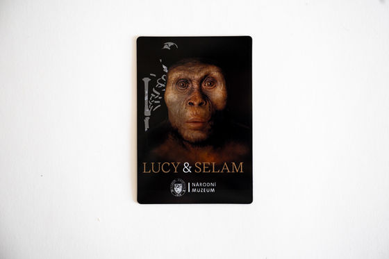 Magnetka s motivem „Lucy & Selam v Národním muzeu“