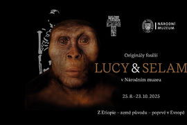 Originály fosilií předků člověka Lucy & Selam vás vítají v nové expozici Lidé a jejich předci