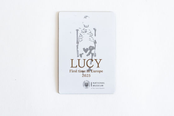 Magnetka s originálním motivem „Lucy & Selam v Národním muzeu“ 