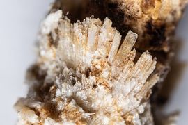 Vznik sekundárních minerálů na novověkém lidském osteologickém materiálu (17 – 20. stol.)