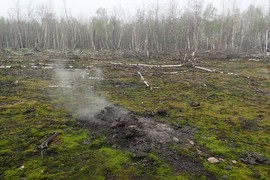 Diversity of green algae (Chlorophyta) from extremely acid habitats