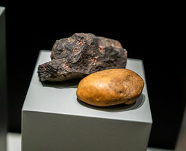 Riegrovy kameny v expozici Dějiny