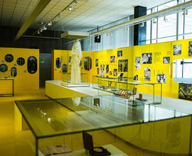 Výstava Věra Čáslavská