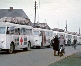 Dánsko-švédský evakuační konvoj bílých autobusů Červeného kříže, který přijel do Terezína 13. dubna 1945.