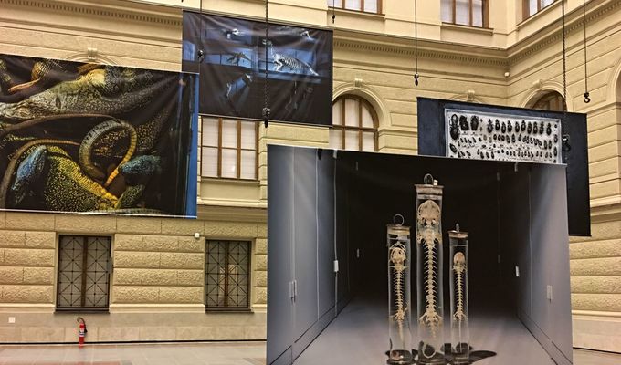 Národní muzeum představí své sbírky prostřednictvím velkých uměleckých fotografií