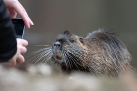 Pozvánka na seminář „iNaturalist ve výuce“