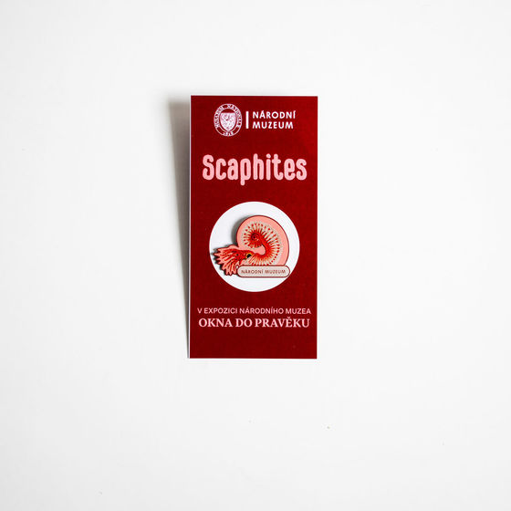 Pin Scaphites 