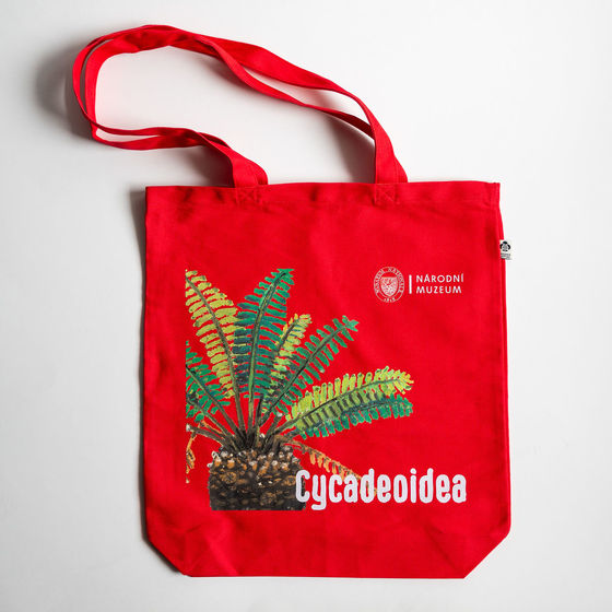 Taška Cycadeoidea