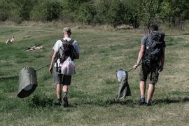 Prahou za přírodou: Nejen ze života hmyzu