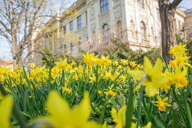 Otevírací doba Národního muzea během velikonočních svátků 2026