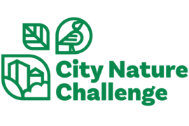 City Nature Challenge: Praha