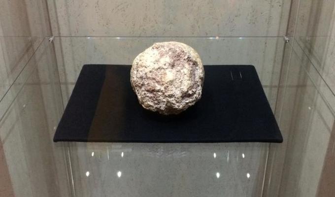 Národní muzeum výjimečně zapůjčilo jeden ze svých nejvzácnějších předmětů – výlitek mozkovny neandertálce
