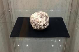 Národní muzeum výjimečně zapůjčilo jeden ze svých nejvzácnějších předmětů – výlitek mozkovny neandertálce